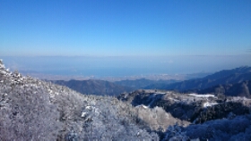 ーイベント情報ー面河山岳博物館よりの画像