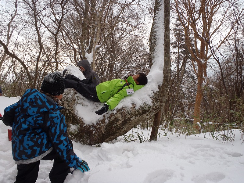 締切り間近!2/9 締切り/石鎚山で氷点下の森の自然観察・雪遊び/星空観察有り♪の画像