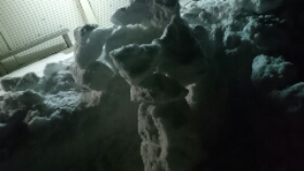 wp-1455066261452 image