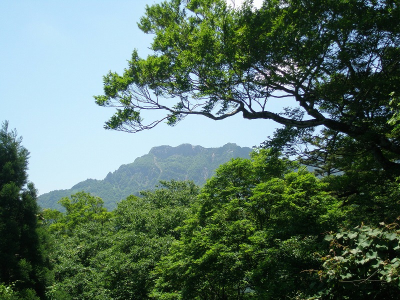 イベント情報-NPO森からつづく道よりーの画像