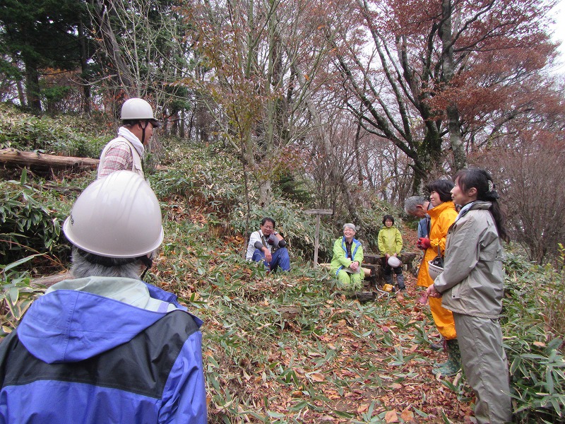 NPO法人石鎚森の学校活動報告(10/11~11/8)の画像