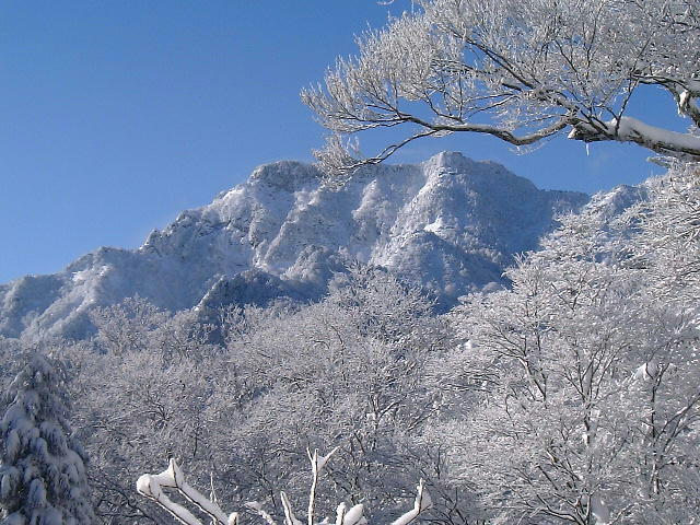 冬季積雪による通行制限のご案内の画像