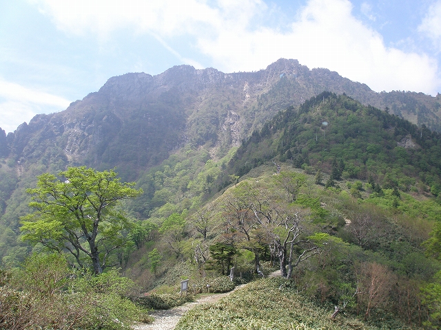 県道12号西条・久万線(ロープウェイ方面)道路情報の画像