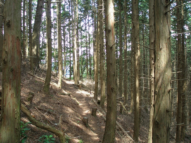 石鎚古道をゆく(5)の画像