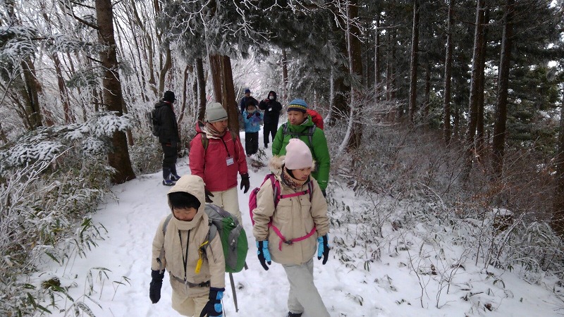 石鎚森の学校2020☆冬☆氷点下の森の自然観察&雪遊び♪の画像
