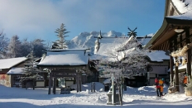 恒例の冬イベント氷点下の雪の森観察♪大人1人、2人のご参加も可能です。の画像