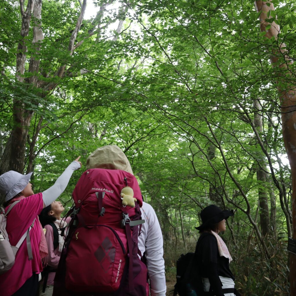 活動報告/令和7年7月1日~7月9日 石鎚山お山開き案内人の画像